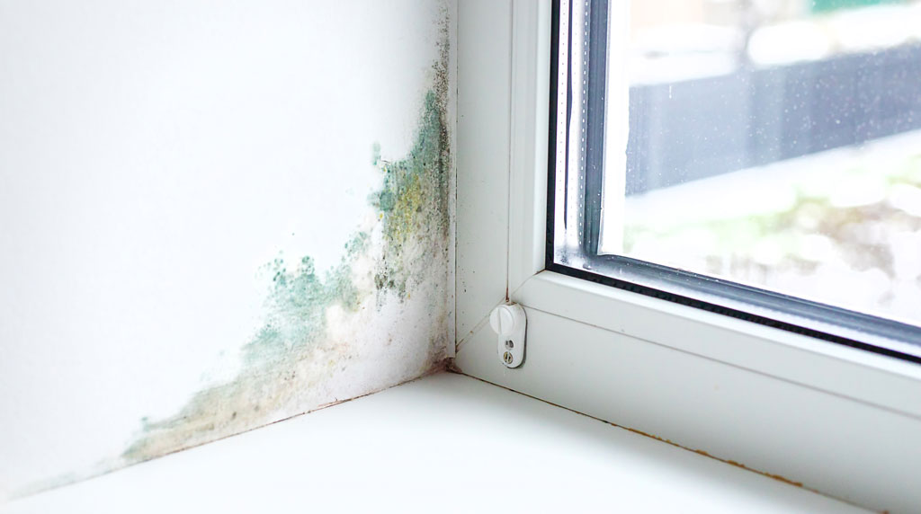 Afbeelding-van-een-wand-met-schimmelplekken-naast-een-raam