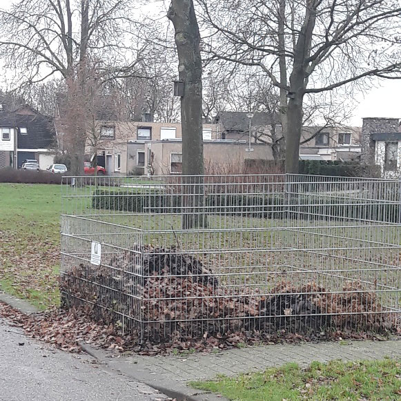 Foto bladkorf
